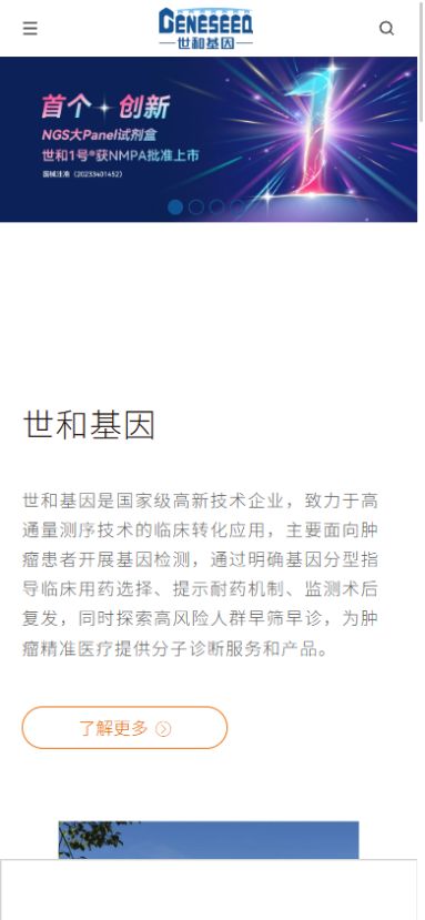 网站改版前移动端页面